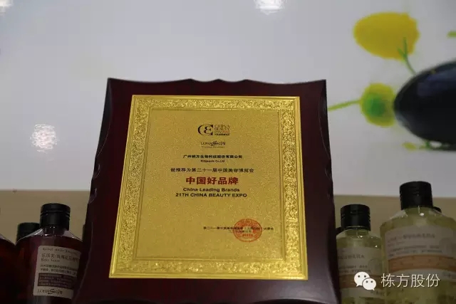 科技引領(lǐng)美麗▏棟方股份榮獲“中國好品牌獎”！