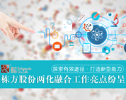 探索有效途徑，打造新型能力——棟方股份兩化融合工作亮點紛呈
